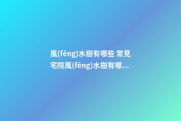 風(fēng)水樹有哪些 常見宅院風(fēng)水樹有哪些